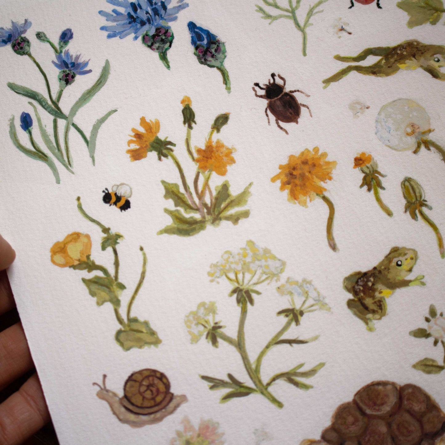 Wildflower Meadow | Art Print