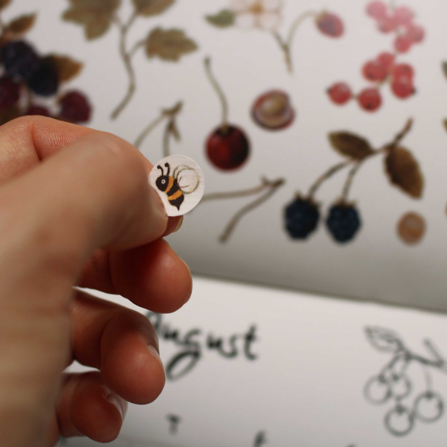 Stickerbogen Kalender (farbig)