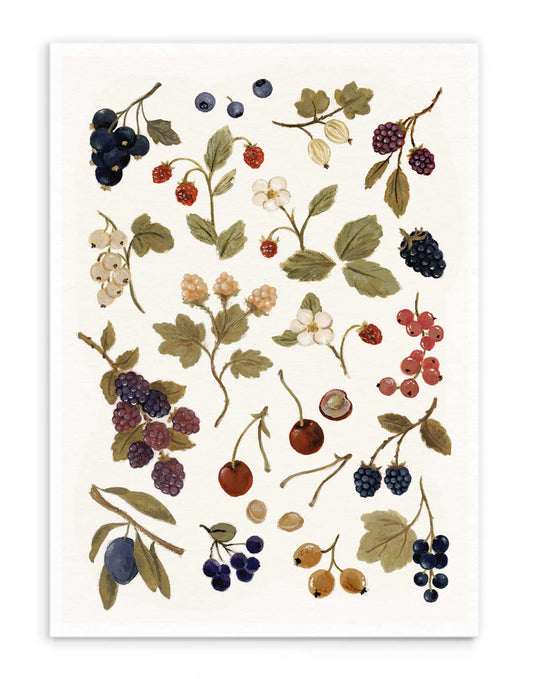 Wild Berries | Art Print